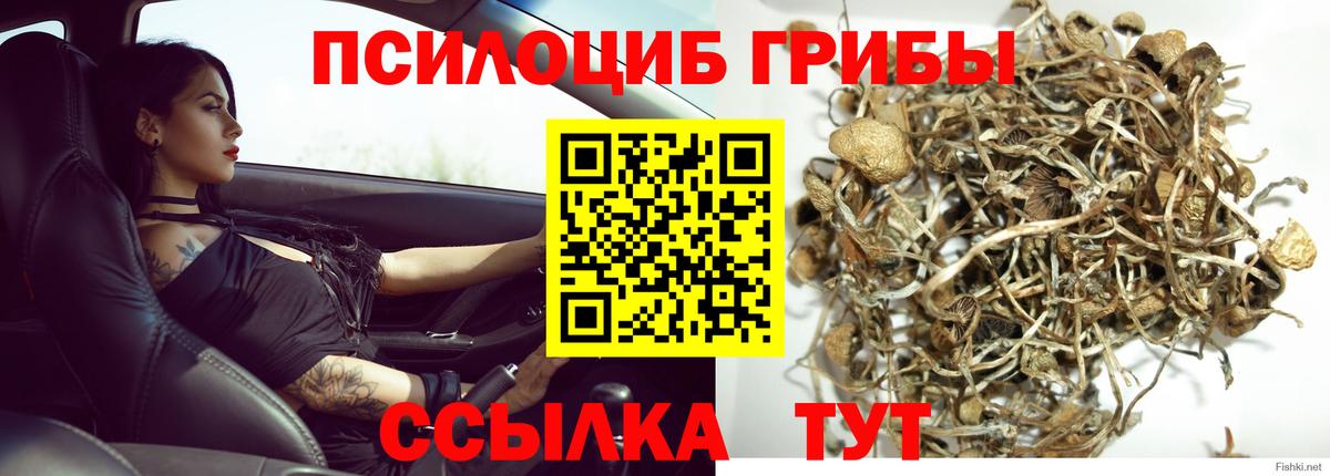 Галлюциногенные грибы MAGIC MUSHROOMS Нягань