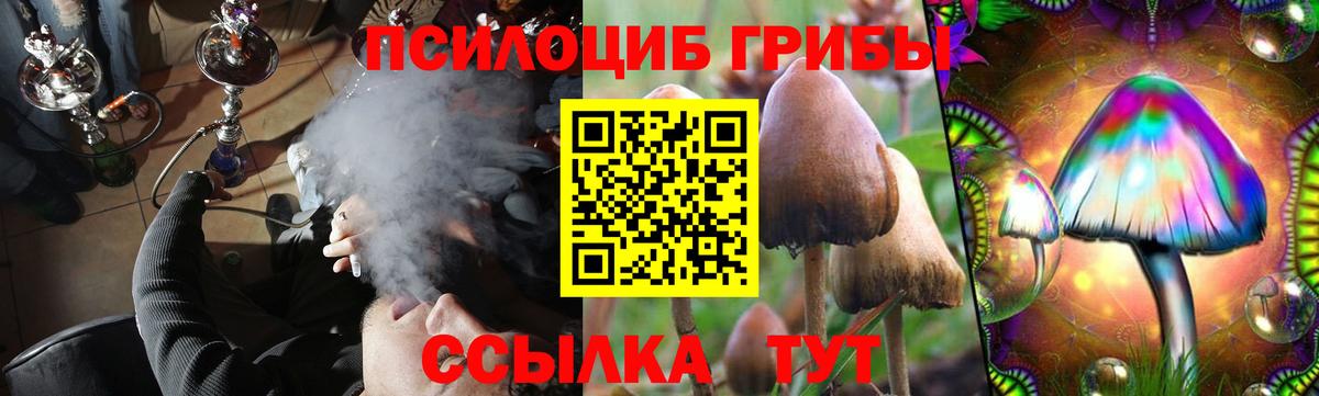 Нягань  Псилоцибиновые грибы Cubensis  Вход с VPN 